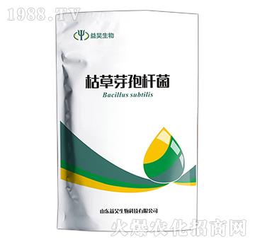 �ݲ�ѿ�ߗU��-�������