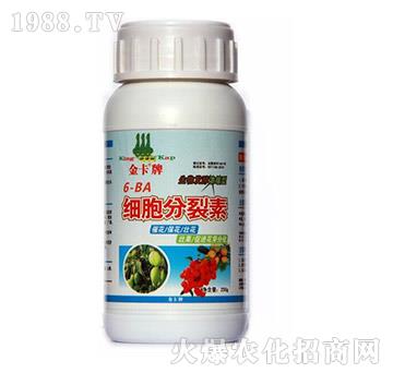 ����������-��-� �����