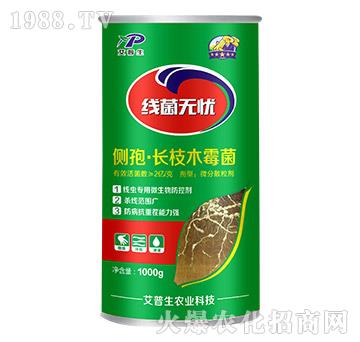 ��(c��)�ߡ��L(zh��ng)֦ľù��-�����o�n-������