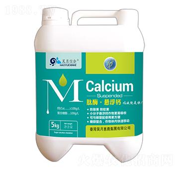 ��ø���Ҹ��}-��»��r