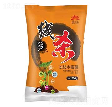 �L(zh��ng)֦ľù��-����-�֠���