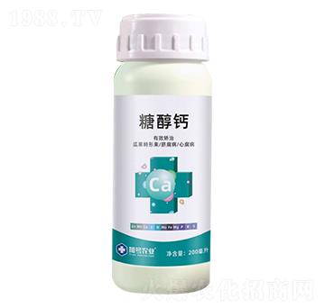 �����Ǵ��}-��̖�r�I(y��)