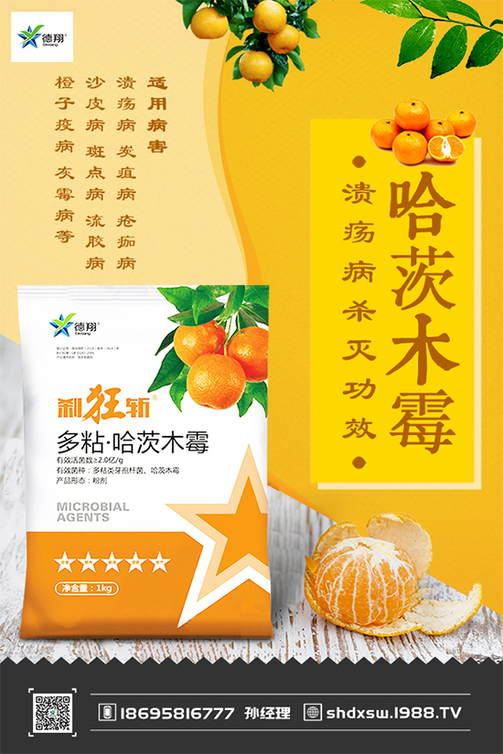 ���{(l��n)�ڰ߲�Σ���@ô��������ԓ��η��Σ����(l��i)��������