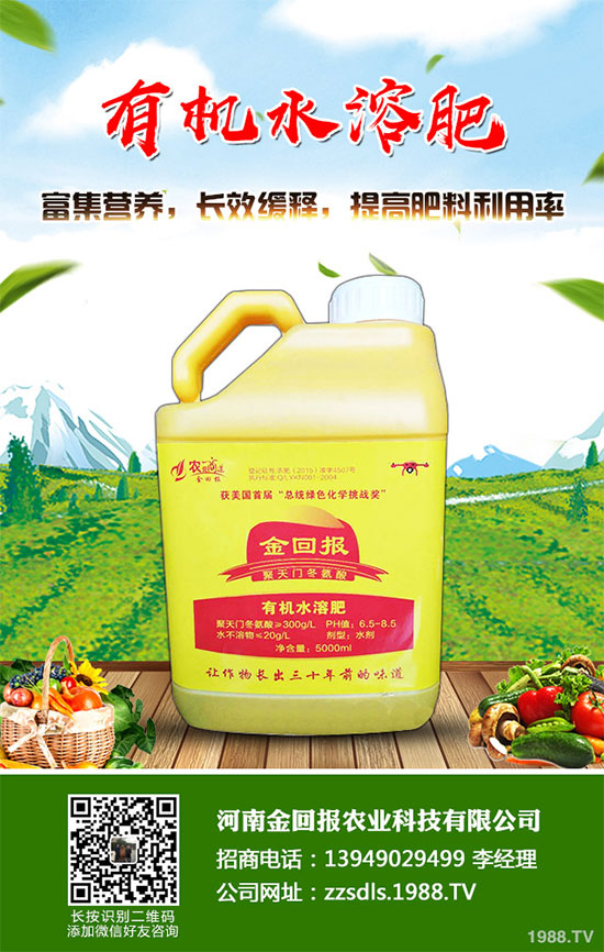 ʮ�·��߲�ԓ��ô������2019��10���߲˷Nֲ����ָ��