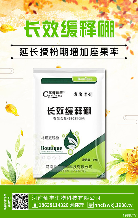 ���X�ݺ��~�X����ʲô��ͬ�����X�ݺ��~�X�ݵą^(q��)�e��Щ��