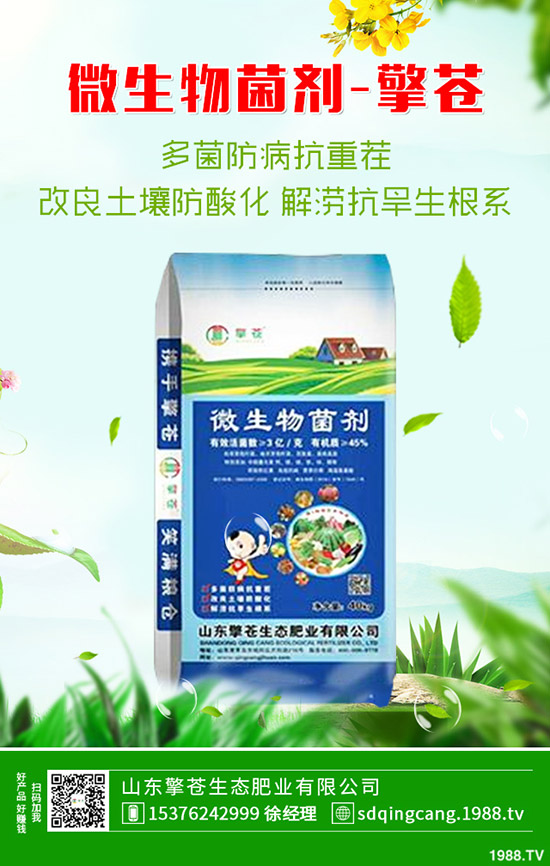     ���؃r���B�m(x��)�µ����������������߄ݷ���2019-10-17