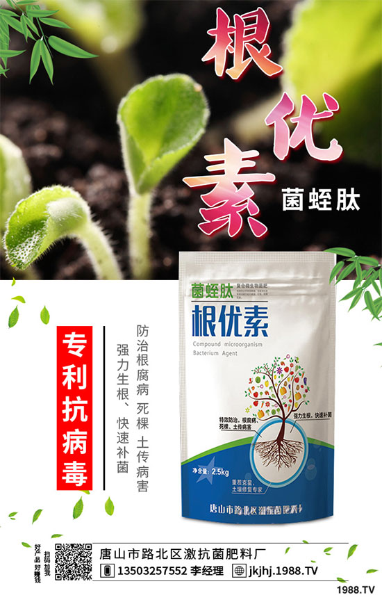白菜霜霉病是如何引起的?有哪些危害?白菜霜霉病的預(yù)防措施