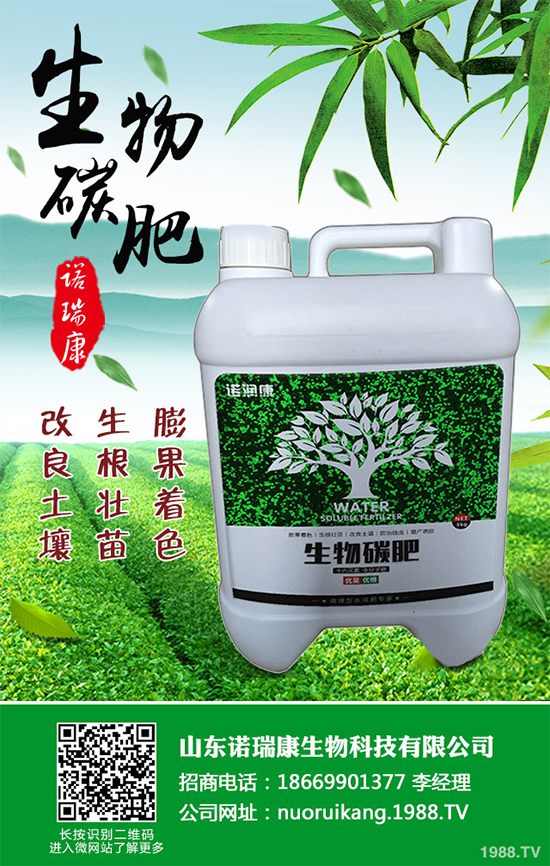 ����������ԓ��ô�N�������@���c(di��n)���p�ɷN�������ˣ�