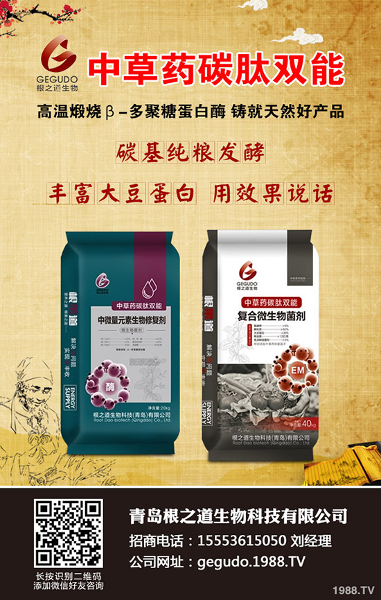 2019年10月26日今日最新二銨主流出廠成交價格早報