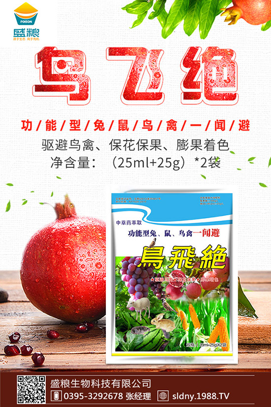 �������t������ڷ����������t���ڷ۷�������Щ��