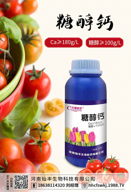 ���{(l��n)���ݲ���(l��i)�u������ԓ��η��������{(l��n)���ݲ����δ�ʩ