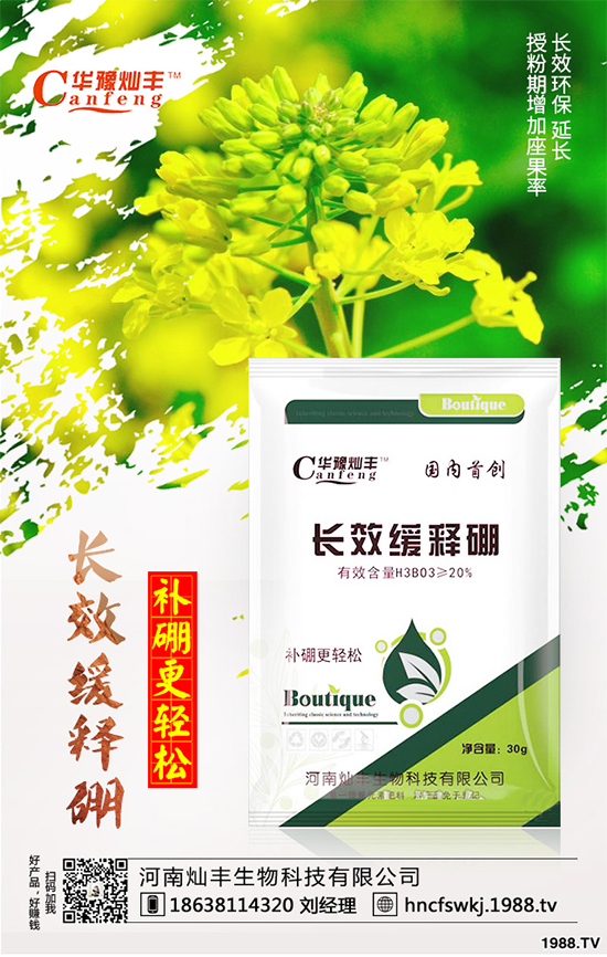 ���{(l��n)���ݲ���(l��i)�u������ԓ��η��������{(l��n)���ݲ����δ�ʩ