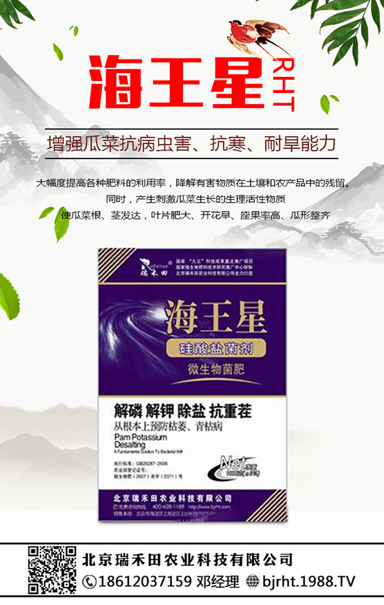 2020��Nֲ������ٍ�X�᣿�������ķNֲǰ��������