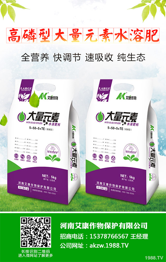 鹽堿地能種植棉花嗎?鹽堿地植棉高產(chǎn)技術