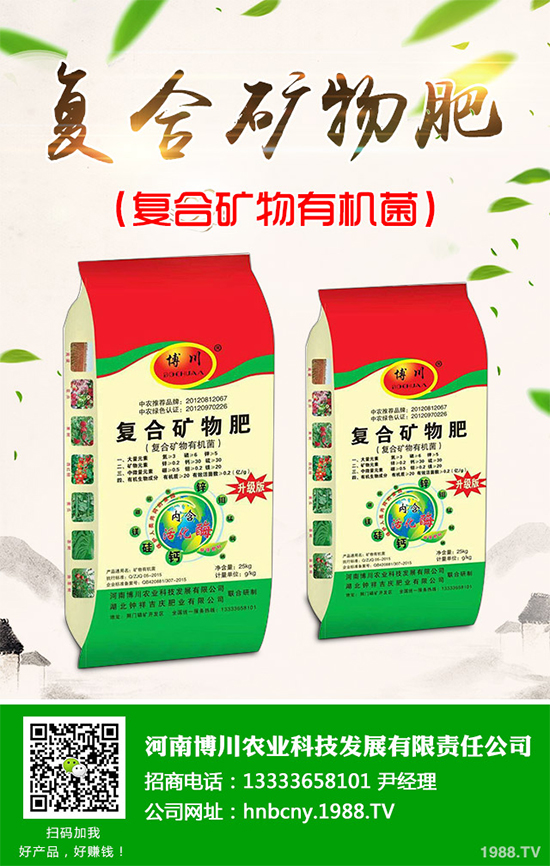 鹽堿地能種植棉花嗎?鹽堿地植棉高產(chǎn)技術