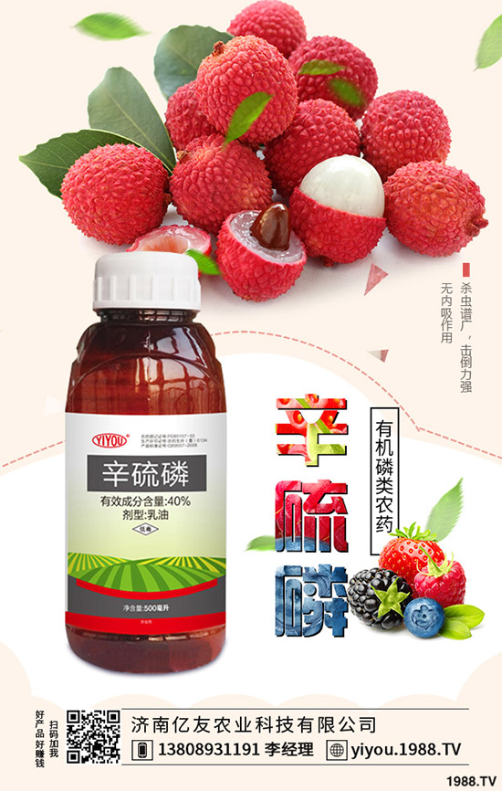 �x�����x���r(ji��)��