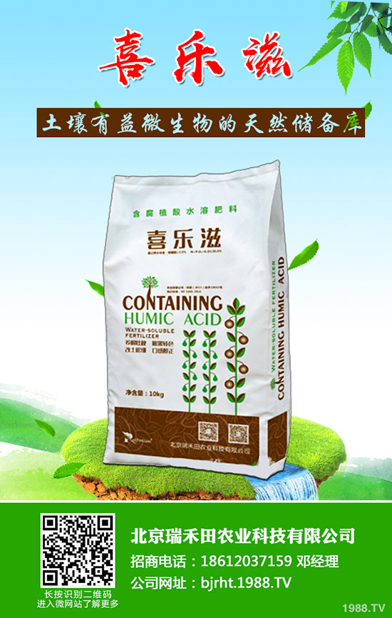 �����~Ƭ�l(f��)�S����ô�����������~Ƭ�l(f��)�S��ô������