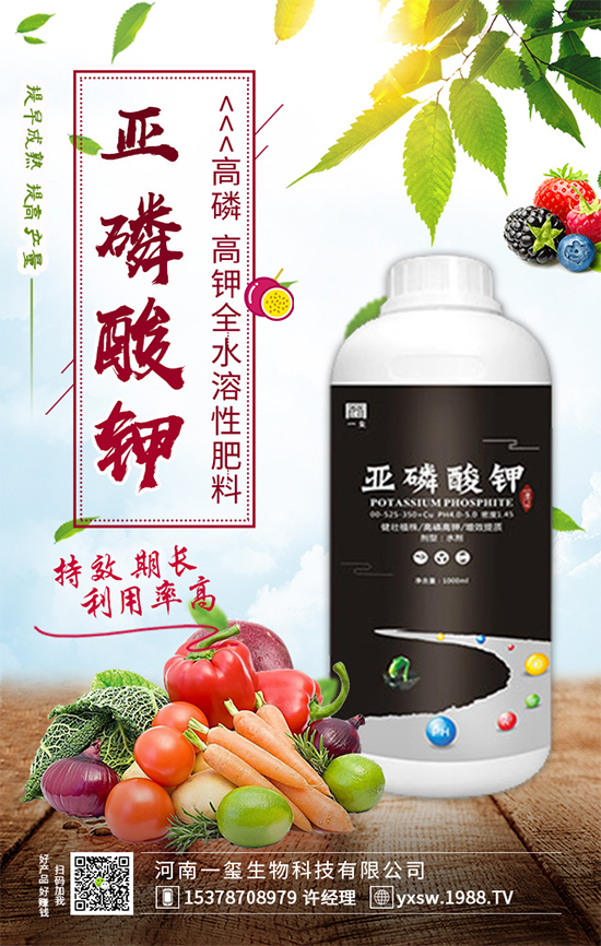 ���Ҙ��ʲô���Y(ji��)�������Ҙ䲻�Y(ji��)����(sh��)�ĵĽ�Q������