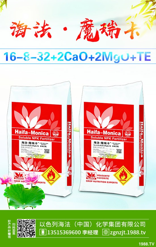     2019��11����Ѯ������@�r�������߄ݾC�Ϸ�����