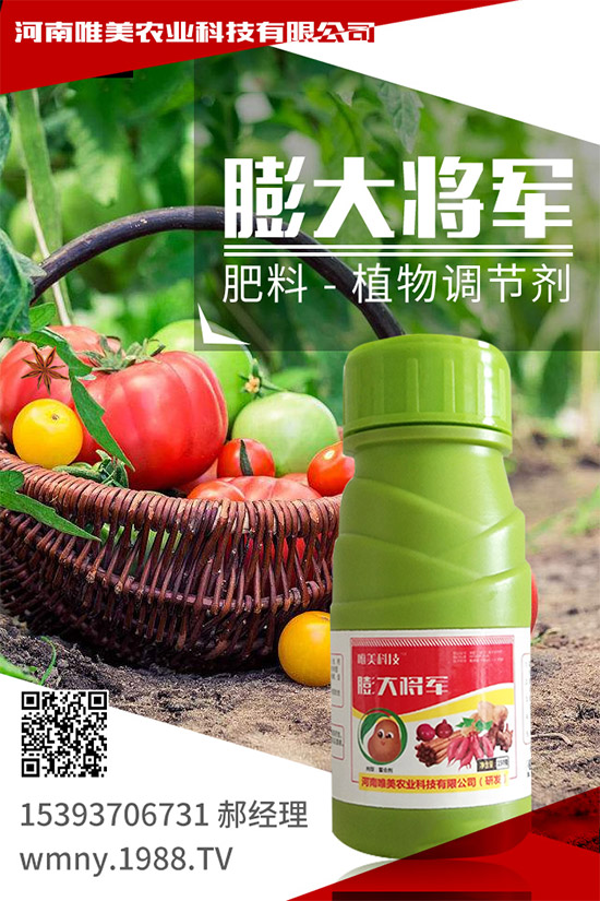 ��������ʲô��̎�����x���ֵ�С������