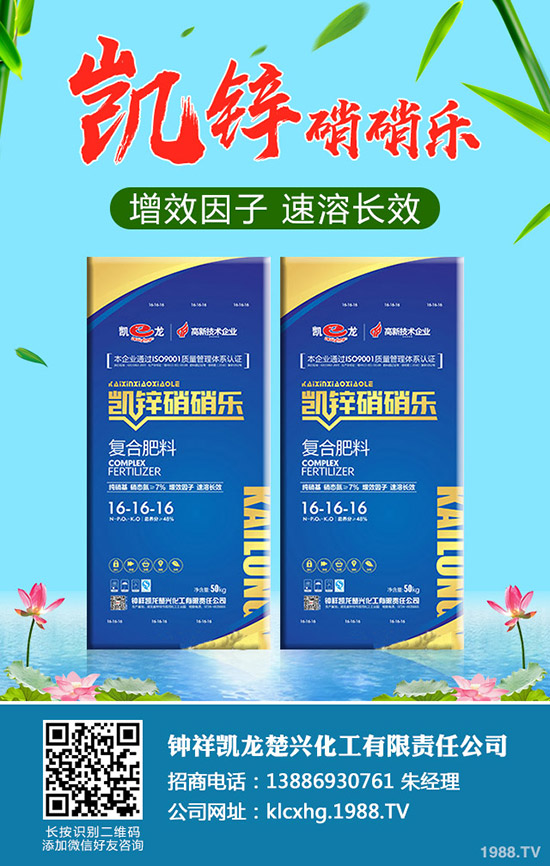 ʲô���ЙC(j��)��ײˣ��ЙC(j��)��ײ˷NֲҪ�c(di��n)����Щ��