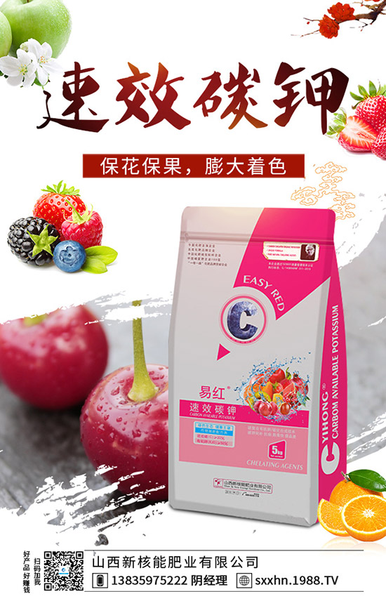     ���@�ɽ����^����2019��11��19��������@�Ј������r��1-(1938)