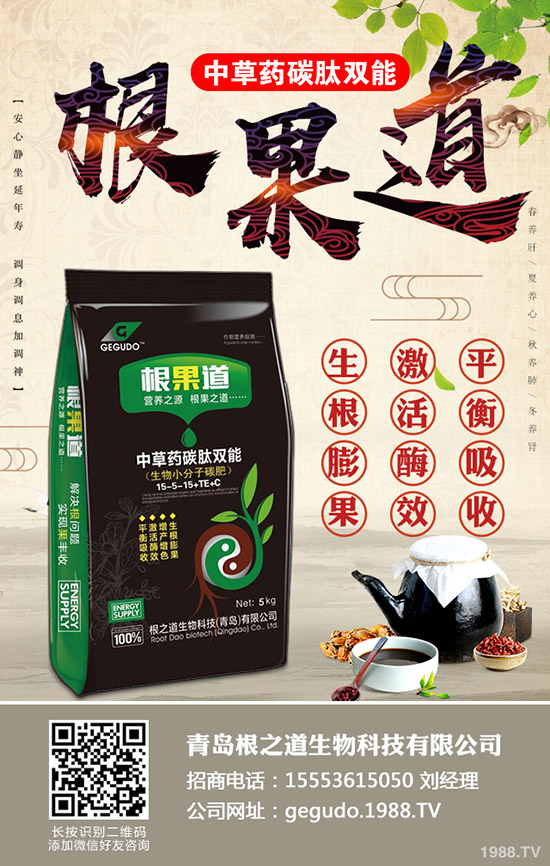     ����(n��i)���؃r����q����2019��11��19�ս��ո������³��S��r���ˣ�