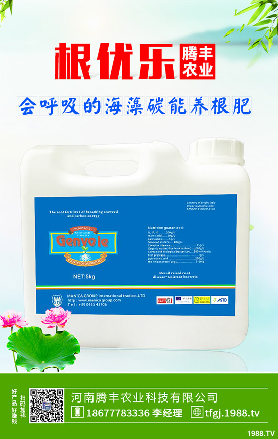 ʯ��ְ߲���(d��o)�°l(f��)�S���~��ô�k��ʯ��ְ߲��ķ���Ҫ�c(di��n)��