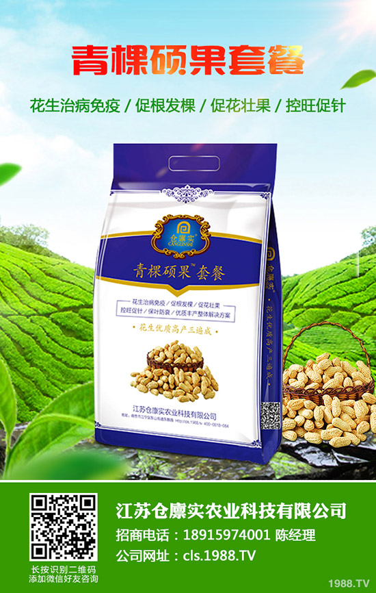     2019��11�µ���������⛷������߄�(sh��)�C�Ϸ�����