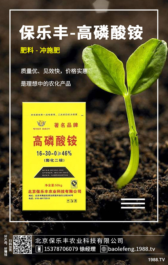 �}���������l(f��)��Ҏ(gu��)������Щ���}������������Ҫ�c��