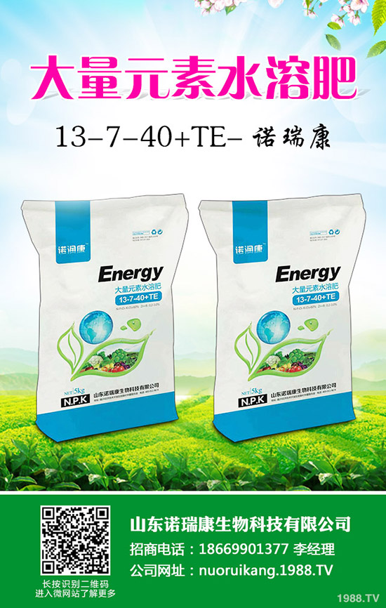 2020�����r(ji��)��������ô����ٍ�X�����Nֲ��e������ô��