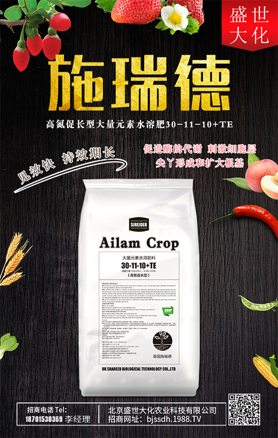 ʯ����ʲô�I�B(y��ng)�rֵ��ʯ������Щʳ�ù�Ч��