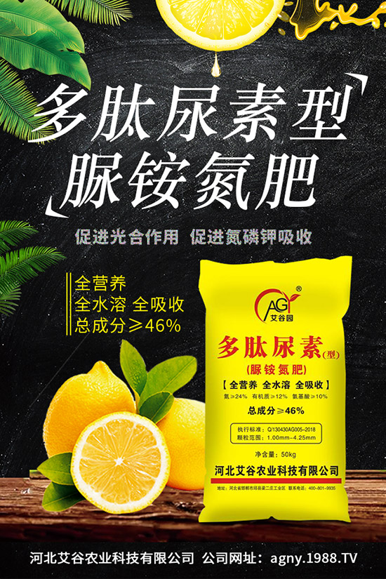 ���؃r����m(x��)�ϝq���������س��S�r��һ�[2019.11.29