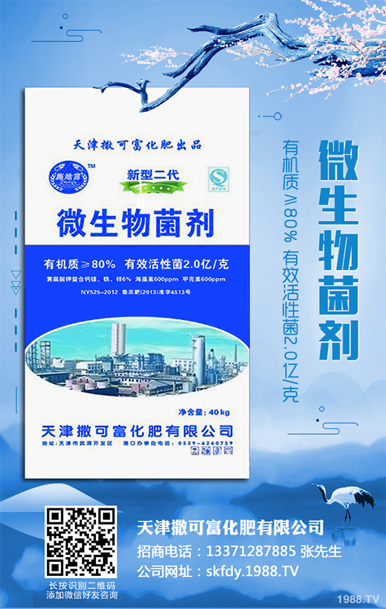 ��Ƥ�����Ժ���S��զ������ԓ��ô��Q�����������