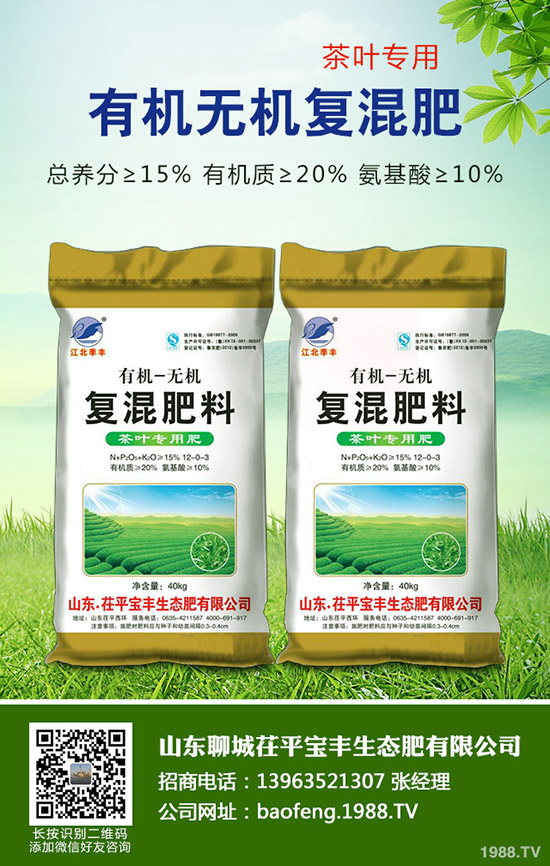     ���@������ô������2019�O���ﶬ���ڹ������g��