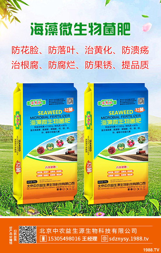     2020�괺��(ji��)�r���r(ji��)���A(y��)Ӌ(j��)�����q���������Xһ���������q�r(ji��)ԭ�������