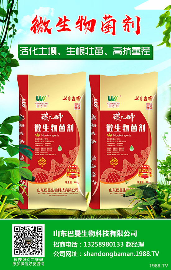     ���������Ј����镺��(w��n)��2019��12��16������������S������r��