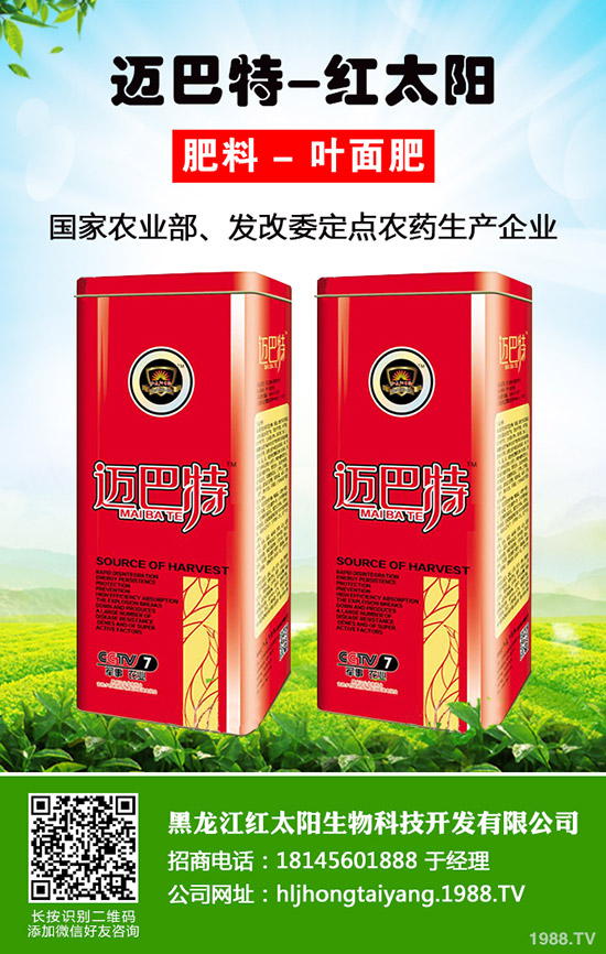 韭菜為什么不分蘗？什么因素影響了韭菜分蘗？