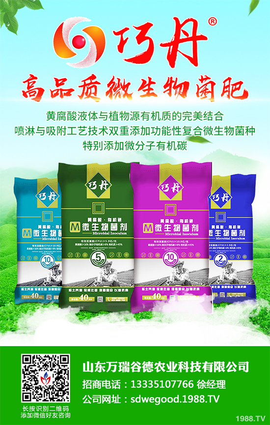 ؕ������Щ���湦Ч��ؕ�ջ��Ĺ�Ч�����c����