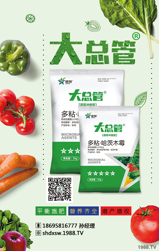 2020年蒜苗種植賺錢嗎?成本多少錢?效益怎么樣?前景如何?