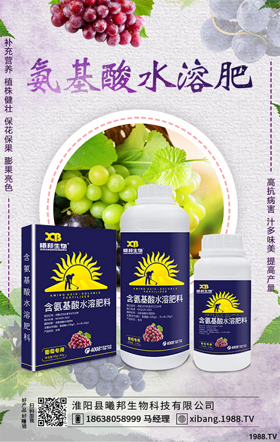 ����Nֲʲô��ٍ�X��2020���ߴ�ٍ�X�Nֲ�(xi��ng)Ŀ����������ɣ�