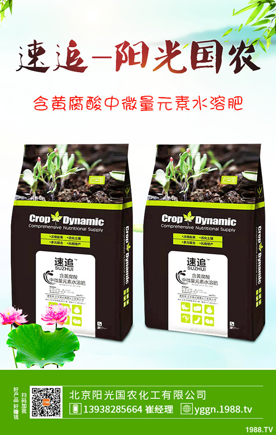 2019年12月26日今日最新國內二銨價格走勢及交易日評