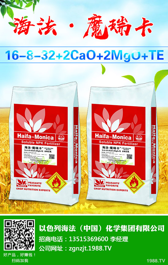     ɽˎ�r��������Xһ�2020ɽˎ�Nֲٍ�Xô���Nֲǰ�����ɱ�������