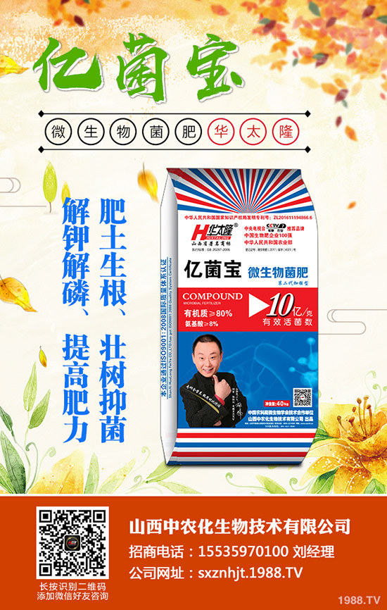     ���@�r���Դ�С���»����g��2019��12�µ�������@���������