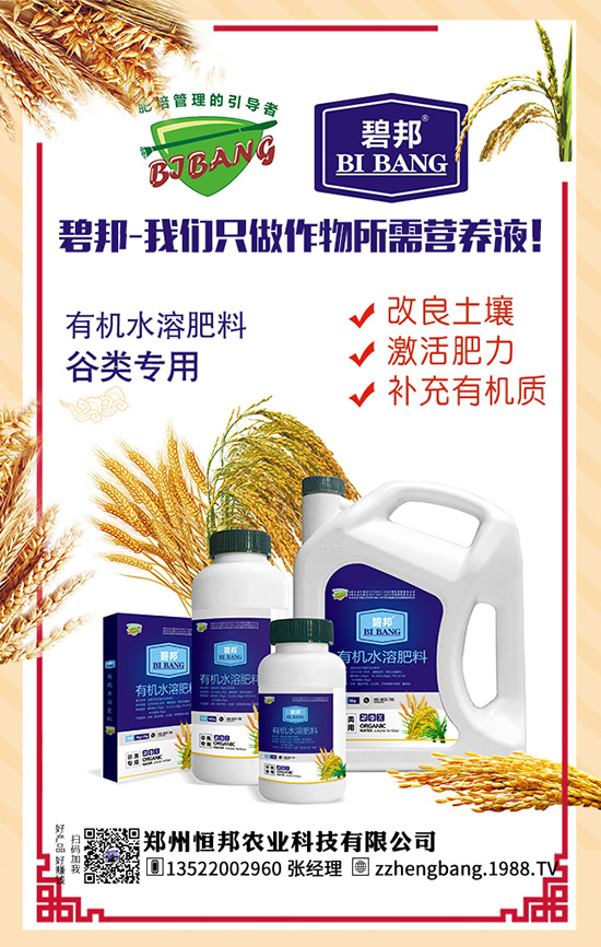 ����������Щ��̎������Ĺ�Ч���ü�ʳ�ý���