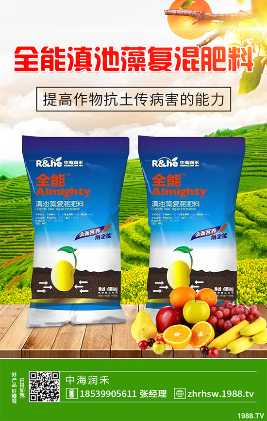 ���r����͸���������Щ�^(q��)�e���ǂ�(g��)Ч��������