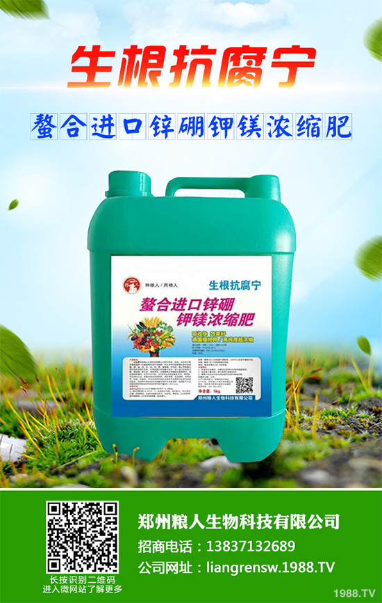 ���r����͸���������Щ�^(q��)�e���ǂ�(g��)Ч�����ã�