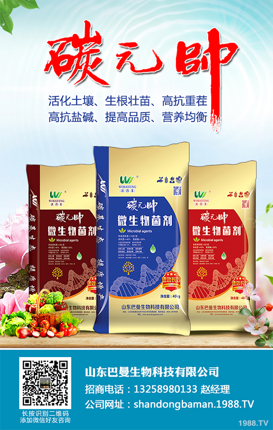 ľ��������Щ�I(y��ng)�B(y��ng)�r(ji��)ֵ��ľ���˵Ĺ�Ч����