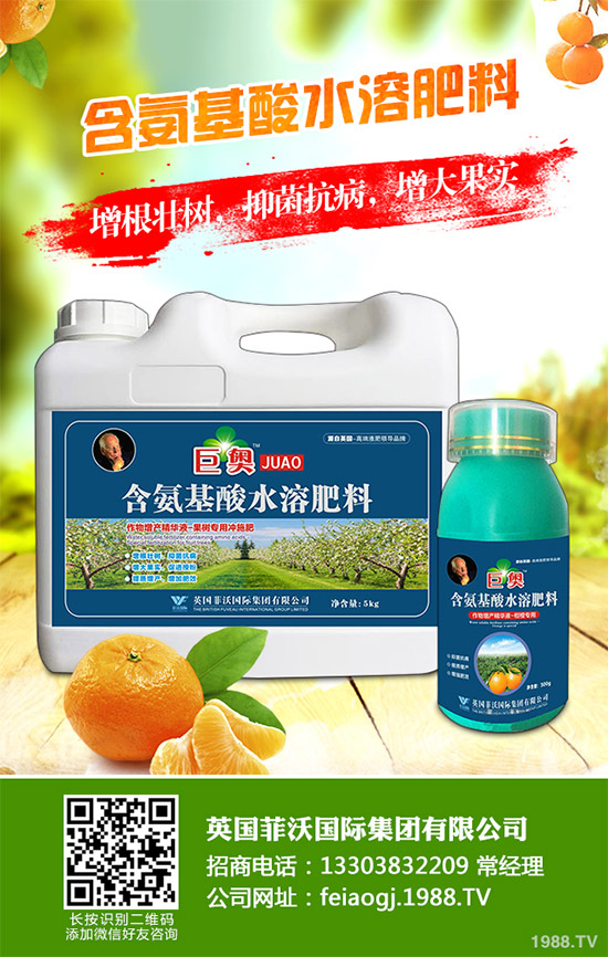 �҇��Ϸ�ԓ���ӷNֲ�{ݮ���{ݮ�߮a(ch��n)�Nֲ���g(sh��)Ҫ�c