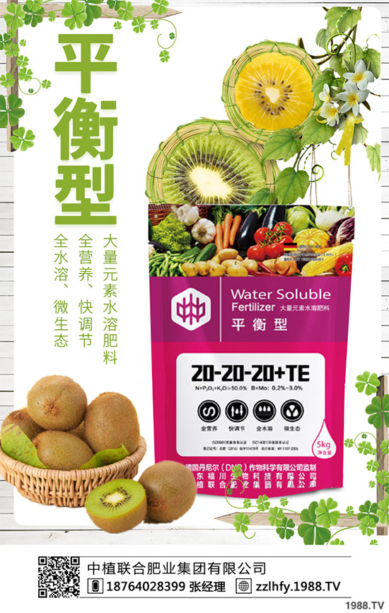 你知道什么是洋薊嗎?洋薊大概多少錢一斤?快來看看